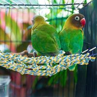Lot de 2 cordes d'escalade et hamacs suspendus pour rats, décorations de cage pour hamsters, perroquets, petaurs, furets et petits animaux