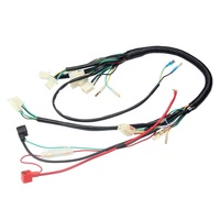 Faisceau de câblage électrique complet de couleur noire pour 50cc 70cc 90cc 110cc 125cc ATV Quad Pit Bike Buggy Go Kart système électrique de voiture