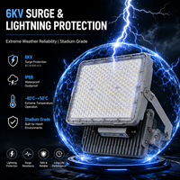Reflector LED de Alta Potencia para Torretas, 100W-600W, 200LM/W, Ultra Alta Eficiencia, IP65 Impermeable, con Protección Contra Sobretensiones de 6KV