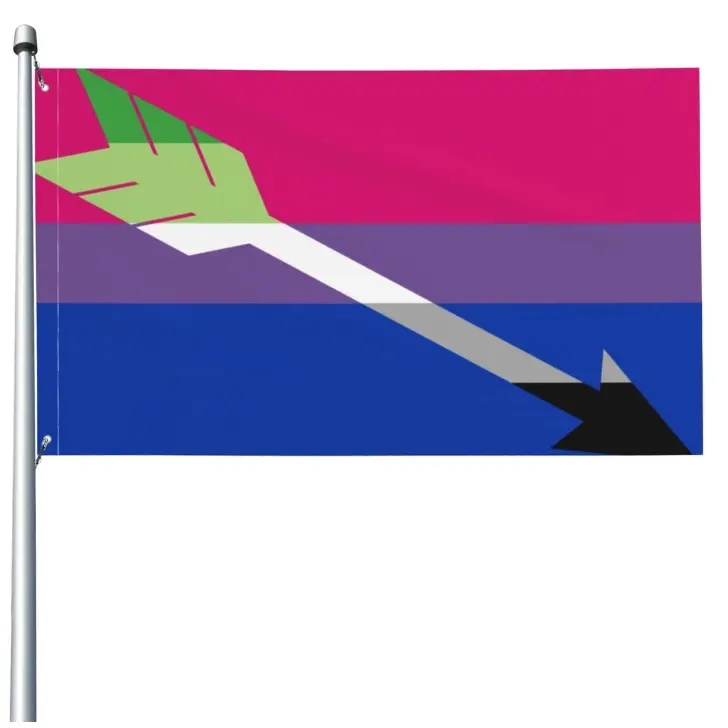 Personnalisé 100% polyester 3X5 Ft Aro Bisexuel Bi Aromantic Pride Drapeau avec Flèche