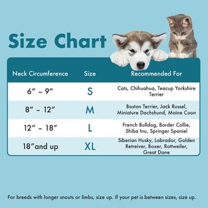 Ameliyattan sonra şişme yumuşak köpek koni yaka Pet Donut yaka şişme kurtarma köpek konileri - Product Image 5