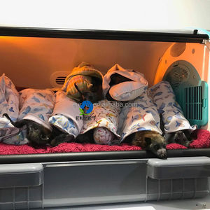 EUR VET harga rendah peralatan medis hewan peliharaan kucing anjing inkubator Icu anak anjing inkubator dengan kelembaban dan <span class=keywords><strong>Nebulizer</strong></span> - Product Image 6