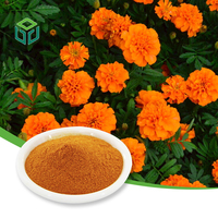 Harga Pabrik Ekstrak Marigold Kelas Makanan 5%-80% Bubuk Xanthophyll untuk Suplemen Kesehatan CAS 127-40-2 1kg KALENG/Botol/Drum