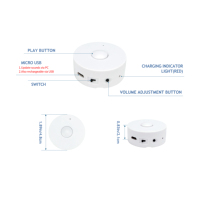 Module Vocal pour Poupées Boîte à Sons Enregistreur Vocal Module Sonore Musical pour Jouet en Peluche Boîte Cadeau