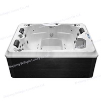 Bains à remous 16 ampères Baignoire Offre Spéciale en usine Baignoire spa extérieure 2-3 personnes