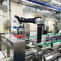 Robot palettiseur automatique collaboratif Machine à empiler Cobot Carton Case Bag Palettizer PLC Discount Price Robot Stacker Food