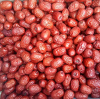 Fournir des dattes rouges sucrées Jujube séché aux fruits chinois dattes rouges séchées à vendre