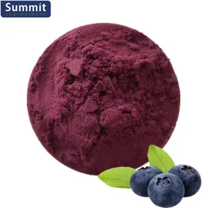 100% Pure Blueberry Fruit Powder/blueberry Juice Powder