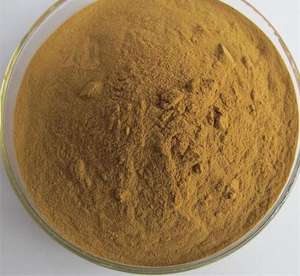 Vente en gros d'échantillons gratuits d'extrait d'Ashwagandha de haute qualité/1% ~ 5% de Withanolides/d'extrait de Withania Somnifera - Product Image 4