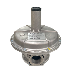 DUNGS Réducteur de gaz industriel pour gazoduc Régulateurs de contrôle de pression de brûleur à gaz pour chaudière DOWSON RIELLO Brûleur Pièces détachées - Product Image 2