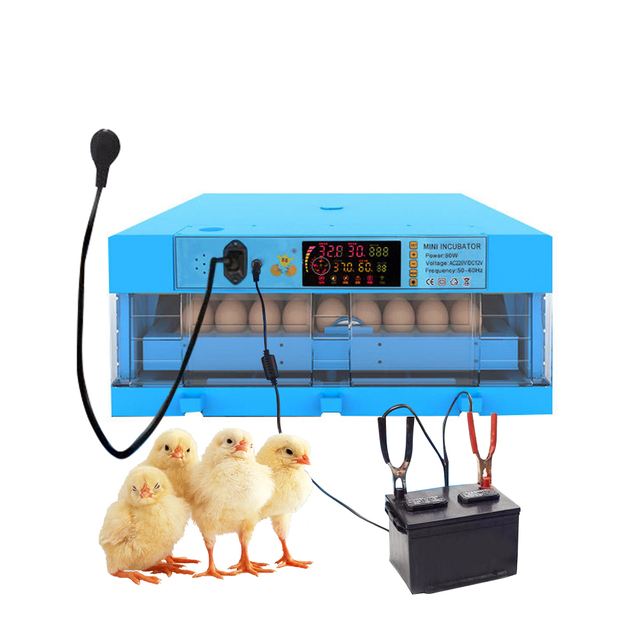 12v 220v 110v Full Automatic Chicken Egg Incubator in Uae for Sale 112 Eggs Incubator
