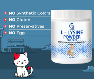 L-<span class=keywords><strong>Lysine</strong></span> <span class=keywords><strong>pour</strong></span> chats supplément <span class=keywords><strong>en</strong></span> <span class=keywords><strong>poudre</strong></span> granules <span class=keywords><strong>pour</strong></span> <span class=keywords><strong>chat</strong></span> froid, soulagement des allergies chats et chatons de tous âges - Product Image 5