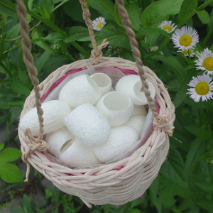 Capullos de Seda Naturales para el Cuidado de la Piel, Venta al por Mayor de Fábrica A7 - Product Image 5