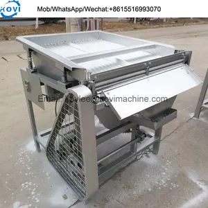 Máquina desgranadora de guisantes, máquina peladora de granos y guisantes, precio - Product Image 3