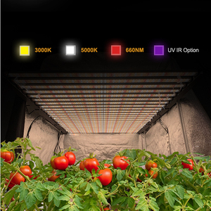 1000W/1200W Dimmable Pliable LED Élèvent La Lumière LM301H EVO LM301B Puces Spectre Complet Commercial Plantes D'intérieur Bloom 4x 6FT/4x8FT - Product Image 4