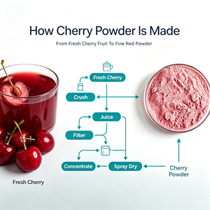 Extrait <span class=keywords><strong>de</strong></span> poudre <span class=keywords><strong>de</strong></span> cerise naturel lyophilisé en vrac, ingrédient <span class=keywords><strong>de</strong></span> qualité alimentaire pour compléments alimentaires - Product Image 3