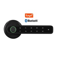 Serrure à poignée électrique Tuya Smart Home Serrure de porte biométrique Inteligente à empreinte digitale Serrure de porte numérique