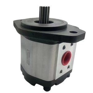 Repuestos para excavadoras de maquinaria de construcción, bomba de engranajes 3339111656 - Product Image 3
