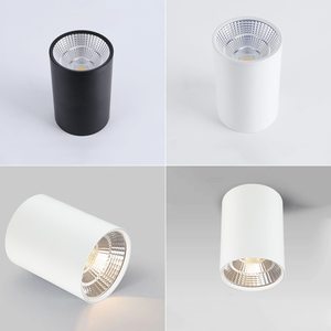 <span class=keywords><strong>โคม</strong></span><span class=keywords><strong>ไฟ</strong></span>ระย้าทรงกระบอกทรงกระบอกแบบยาวทันสมัย,<span class=keywords><strong>โคม</strong></span><span class=keywords><strong>ไฟ</strong></span>แขวนเพดานพื้นผิวติดตั้งดาวน์ไลท์สปอตไลท์สำหรับสำนักงานทางเดิน - Product Image 4