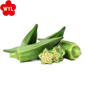 กระเจี๊ยบเขียวสดแช่แข็งทั้งหมด IQF เป็นกลุ่ม - Product Image 2