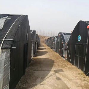 Kích Thước Lớn Nông Nghiệp Bóng <span class=keywords><strong>Net</strong></span> Đường Hầm Nấm Phát Triển Nhà Màu Xanh Lá Cây - Product Image 2