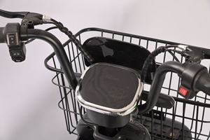 Vélo électrique de livraison en gros, 2 places, vert, puissance 48V, vélo de rue électrique avec assistance au pédalage - Product Image 3