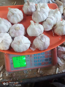 2025 Trung Quốc Hữu Cơ Trang Trại Của Màu Trắng Tinh Khiết Tươi <span class=keywords><strong>Solo</strong></span> 3P Bóc Vỏ Tỏi Thực Phẩm Cấp Cách Sử Dụng - Product Image 3