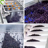 Groothandel Top Verkoop Gedroogde Chinese Zwarte Wolfbes Populaire Gedroogd Fruit