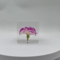 Kubus Resin Bening dengan Bunga Anyelir Asli yang Diawetkan, Penahan Kertas Resin Bunga Asli untuk Hadiah Kerajinan Dekoratif Hari Ibu
