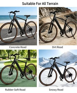 Vélo électrique adulte 250W, vélo électrique pas cher, mini vélo électrique pliable, vélo électrique à pneus larges, vélo électrique de style urbain pour les trajets quotidiens - Product Image 3