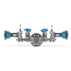 Débitmètre à section variable magnétique 9295 pour eau, gaz, huile, air, personnalisable OEM, en acier inoxydable 316L, précision +/-0,5% - Product Image 3
