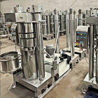 Presse à huile hydraulique de haute qualité 70 kg/h - Presse à huile d'avocat - Convient aux petites et moyennes usines de pressage d'huile