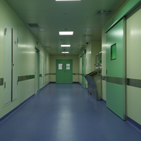 Portes intérieures d'hôpital modernes en acier inoxydable chinois de haute sécurité avec finition antirouille et isolation thermique