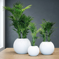Pot de fleurs moderne en fibre de verre, jardinière décorative légère, écologique, durable, biodégradable, grand récipient pour plantes d'intérieur
