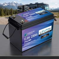 Batterie au lithium LiFePO4 12V 200Ah 230Ah Plus avec BMS 200A, longue durée de vie, cycle profond, pour camping-car, marine, systèmes solaires hors réseau