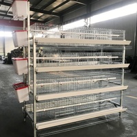Cage semi-automatique de type H pour poules pondeuses, capacité 10000