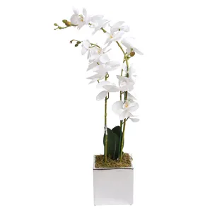 Wholesale Plastic Bonsai Artificial Natural Looking Phalaenopsis Flowers Orchid Plant Potted For Home Decoration