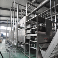 Máquina secadora de rodillos de malla para rodajas de yam, bayas de goji y granos, secadora transportadora