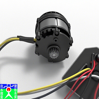 Outils d'équipement électrique extérieur de haute qualité Contrôleur de moteur sans balais haute vitesse 220W