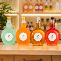 Ensemble de 4 bouteilles en verre vides avec bouchons à vis, corps rond, col long, transparentes et givrées, pour jus et boissons