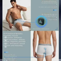 Sous-vêtements de massage par impulsions EMS pour hommes, caleçons boxer de soin des points d'acupuncture avec pierres énergétiques, points Yingwei de Changqiang, contrôleur détachable
