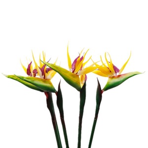 QIHAO Flores Artificiales de Ave del Paraíso de 78 cm, Plástico Suave, Alta Simulación, Decoración del Hogar, Accesorios para Bodas - Product Image 2