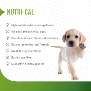 Gel Orale <span class=keywords><strong>Nutri</strong></span>-Cal OEM a Marchio Privato 4.25oz, Integratore Nutrizionale ad Alto Contenuto Calorico per Cani, Gatti, Cuccioli e Gattini - Product Image 4