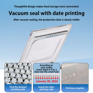 Máquina de envasado al vacío de acero inoxidable para mesa, selladora de alimentos al vacío comercial para la conservación de carne, frutas y verduras - Product Image 6