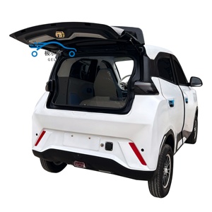 Veicolo Elettrico 4x4, Auto Elettrica Compatta 2026, Veicolo Elettrico 2WD 5 Posti, Mini Auto Elettrica di Lusso - Product Image 1