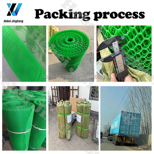 Maille verte en plastique traitée sous pression naturelle en gros pour la volaille et les animaux, barrière florale, jardinage, clôture de ferme - Product Image 5