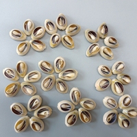 Vente en gros de cauri doré taillé jaune artisanal fait à la main conque escargot 2-2.5cm en stock pour décorations de bijoux