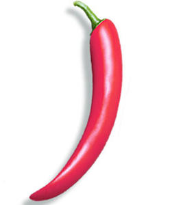 Vibratori adulti del sesso vibratore del dildo di ricarica USB a vibrazione forte multi frequenza a forma di vegetale per <span class=keywords><strong>maschio</strong></span> e femmina - Product Image 5