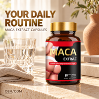 Capsules d'extrait de Maca OEM/ODM, 60 capsules, complément alimentaire à marque privée