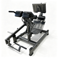 Machine de musculation multifonctionnelle professionnelle à charge libre DUAL 45 HIP EXTENSION HIP pour salle de sport